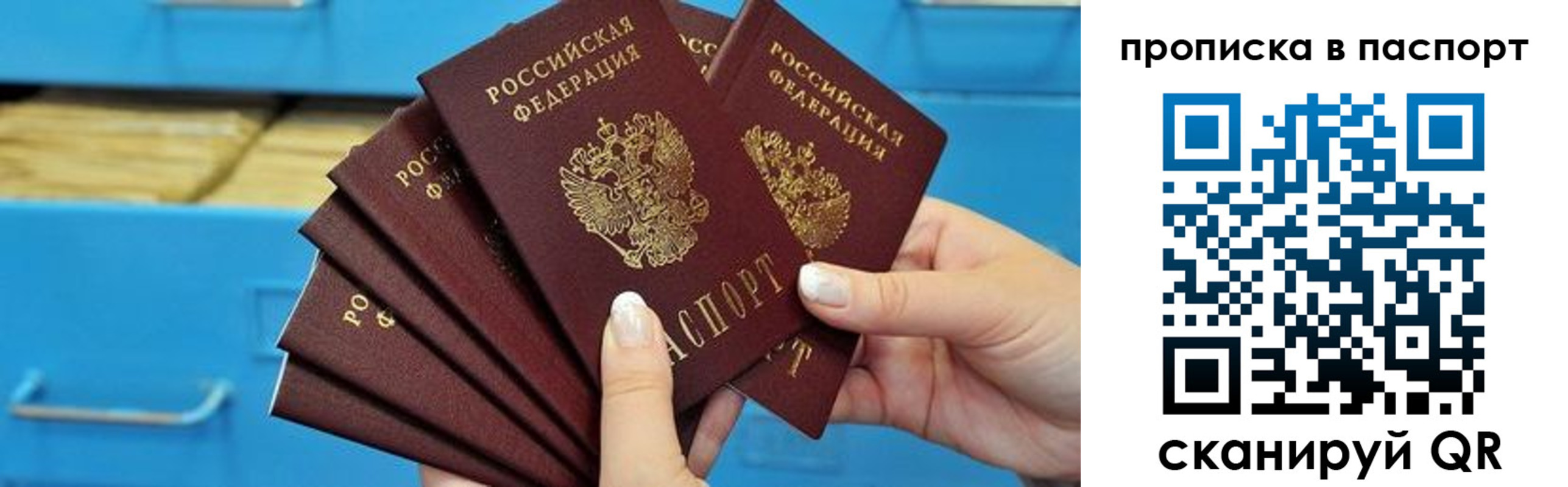 прописка в Данкове