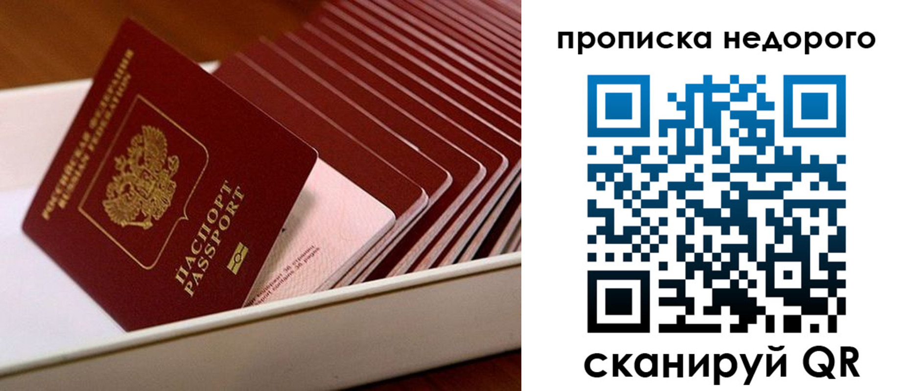 прописка паспорт в Данкове